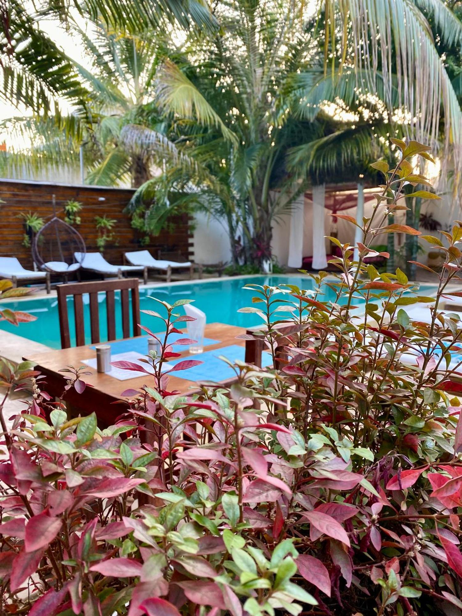 Cezere The Palm Hotel Паже Екстериор снимка